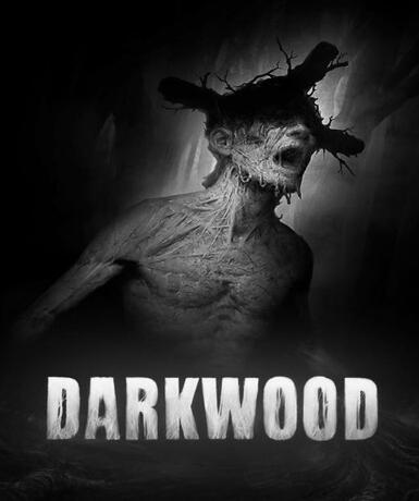 Darkwood (Steam) Game Cover