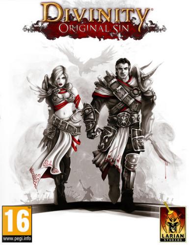 Divinity: Original Sin Game Cover