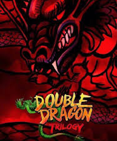 Double Dragon Trilogy Game Cover