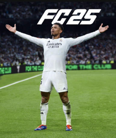 EA Sports FC 25 (Steam) Game Cover