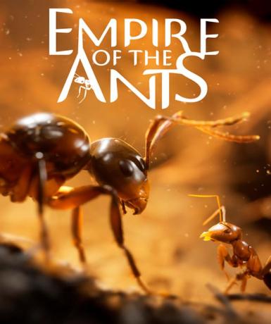 Empire of the Ants (Steam) Game Cover