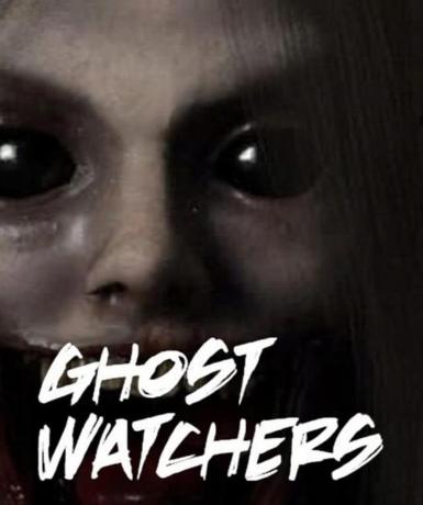 Ghost Watchers (Steam) Game Cover