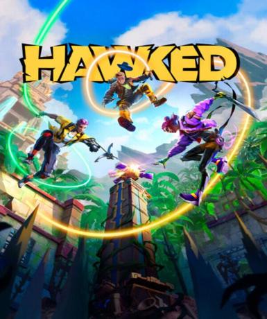 Hawked (Steam) (Early Access) Game Cover