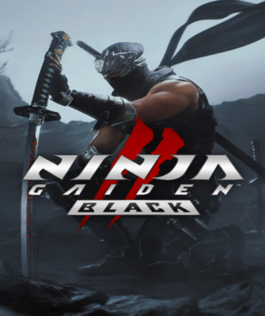 NINJA GAIDEN 2 Black (Steam) (EU) Game Cover
