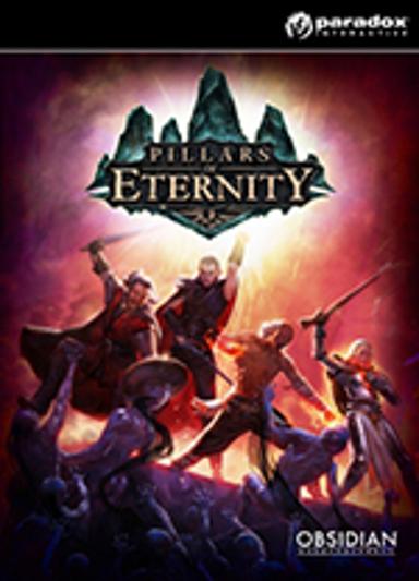 Pillars of Eternity (Hero Edition) Game Cover
