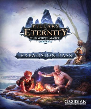Pillars of Eternity: The White March - Expansion Pass Game Cover