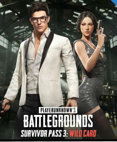 Playerunknown's Battlegrounds: Survivor Pass 3 (Wild Card) Game Cover