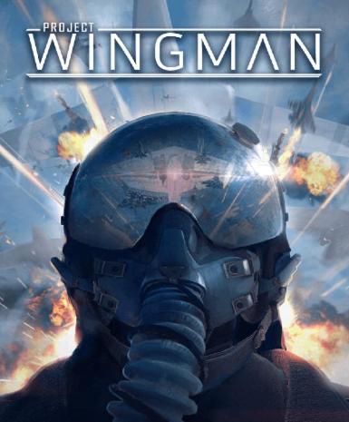 Project Wingman Game Cover