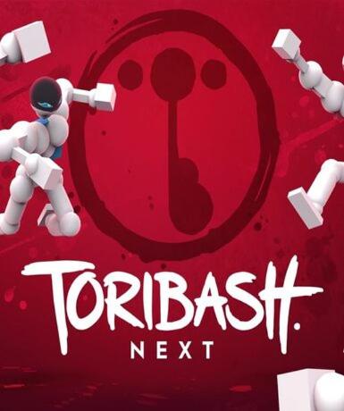 Toribash Next (Steam) Game Cover