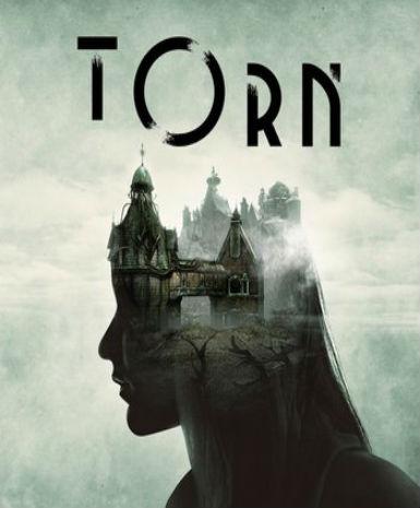 Torn Game Cover