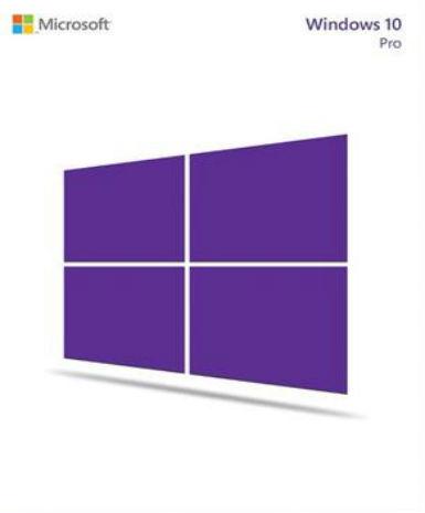 Windows 10 Professional OEM CoA Game Cover