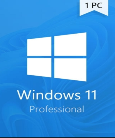 Windows 11 Professional Game Cover