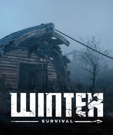 Winter Survival (Steam) (Early Access) Game Cover